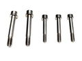 SAB Titanium Special Screws