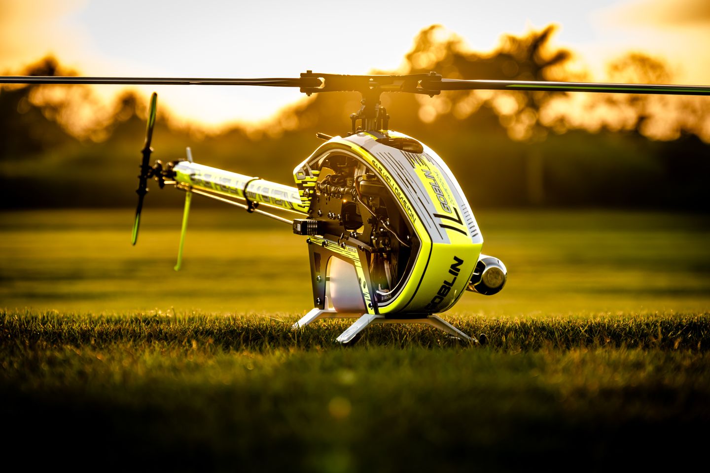 SAB ILGoblin Competizione with Blades - Nitro